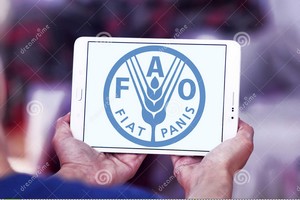 La FAO appelle les pays à préparer leurs systèmes alimentaires à de nouveaux «chocs»