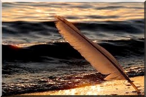 Humeur de Aichetou Ahmedou : L’écriture …