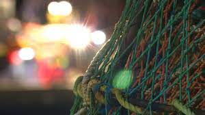 Mauritanie : la pêche aux poulpes et calamars interdite pendant un mois au large du cap Blanc