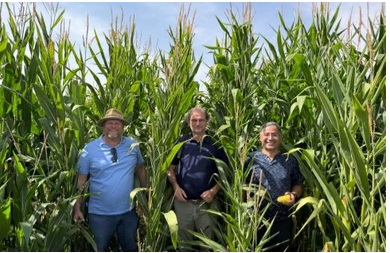 Mauritanie-France : un projet de 30 M€ dans le maïs et la luzerne mis en avant à Paris