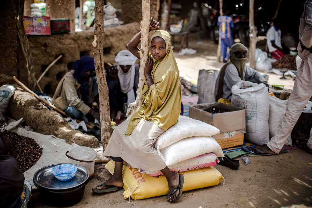 Sahel : une grave insécurité alimentaire menace 12 millions de personnes, selon le PAM